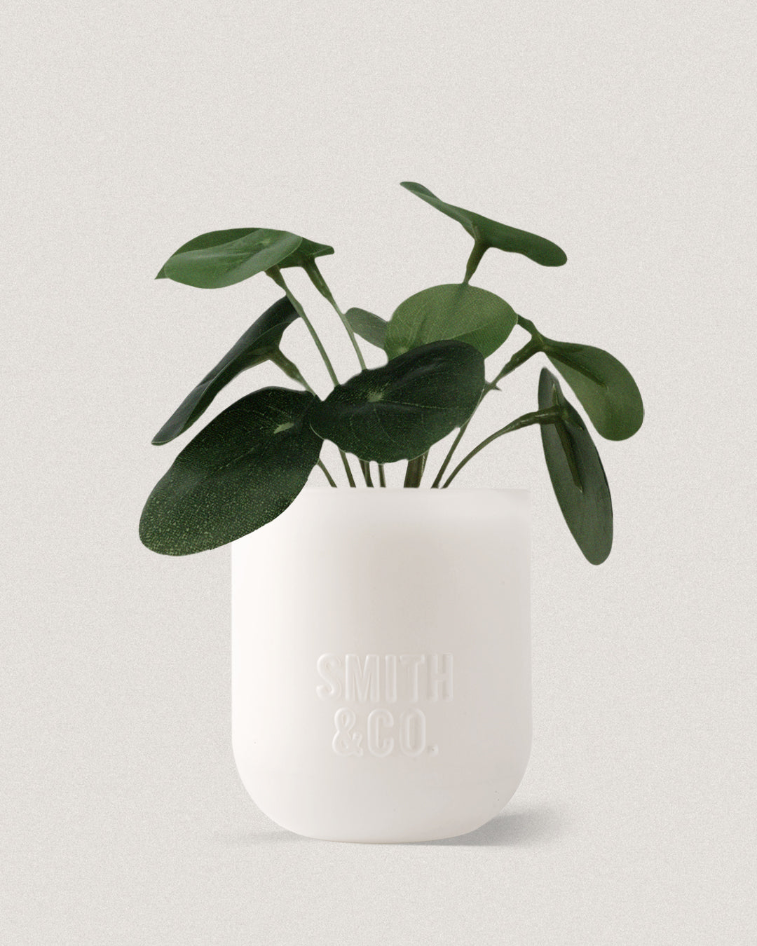 Tonka & White Musk Scented Candle 250gr